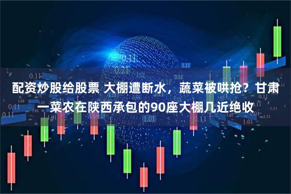 配资炒股给股票 大棚遭断水，蔬菜被哄抢？甘肃一菜农在陕西承包的90座大棚几近绝收