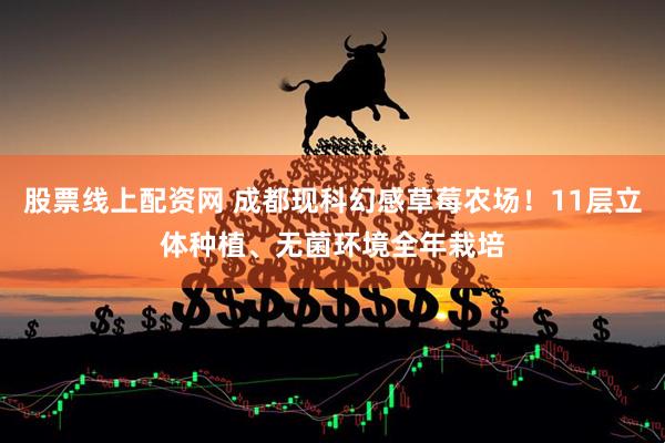 股票线上配资网 成都现科幻感草莓农场！11层立体种植、无菌环境全年栽培