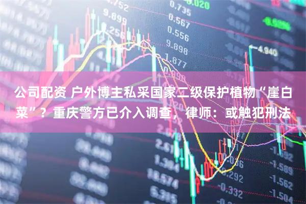 公司配资 户外博主私采国家二级保护植物“崖白菜”？重庆警方已介入调查，律师：或触犯刑法