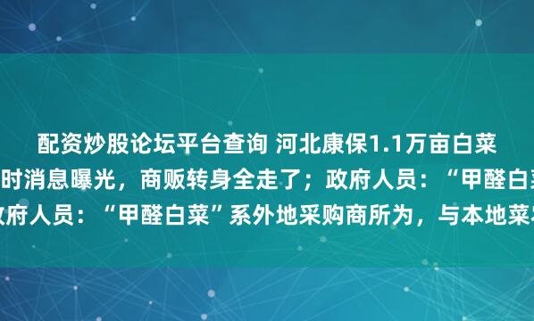 配资炒股论坛平台查询 河北康保1.1万亩白菜趴地里,农户:谈定金时消息曝光,商贩转身全走了;政府人员:“甲醛白菜”系外地采购商所为,与本地菜农无关